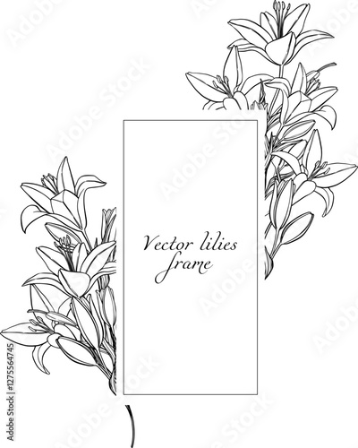 Elegance vector template of hand drawn lilies. Botanical illustration of lilies.