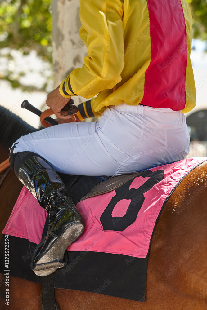 Race horse with jockey detail. Purebred in the hippodrome. Turf
