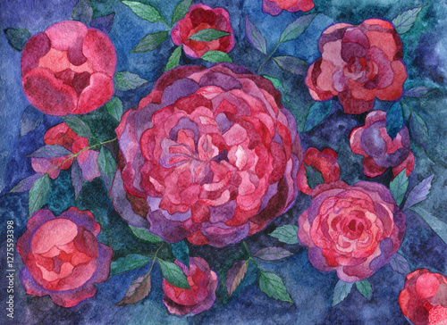 A postcard with a picture of red peony-shaped roses on a dark background. Watercolor drawing.