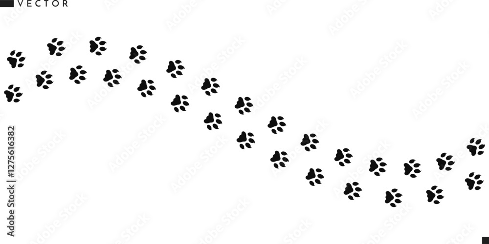 Wild animal paw prints. Sumatran tiger paw prints vector illustration Wild animal paw prints. Sumatran tiger paw prints vector illustration