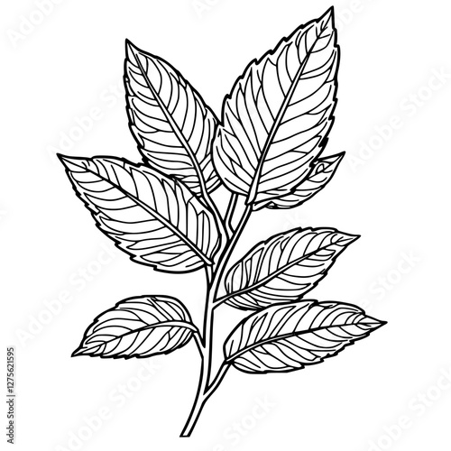 Intricately detailed illustration of a leaf branch showcasing natural textures and patterns found in foliage