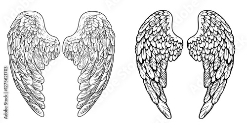 Detailed sketch of intricate angel wings showcasing delicate feathers in contrasting styles