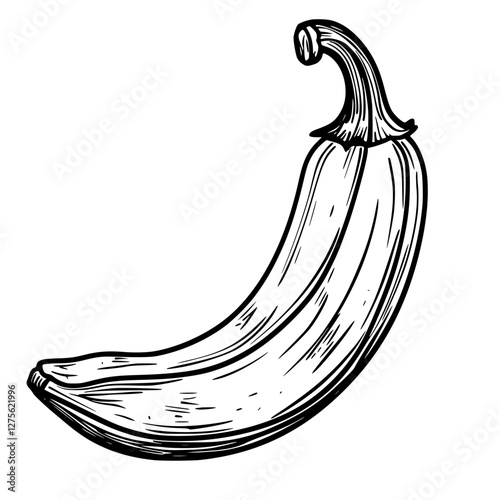 Artistic representation of a banana in a simple black and white sketch style on a plain background