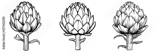 Artistic illustration showcasing three varieties of artichokes with detailed floral patterns and textures in black and white