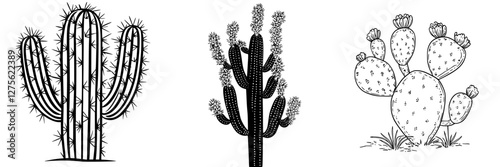 Various types of cacti illustrated in black and white with distinct shapes and features on a white background
