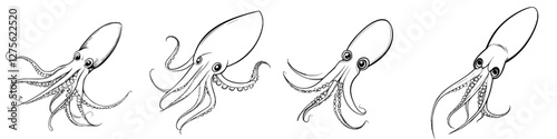Intricate illustrations of various octopus species showcasing unique features and characteristics in a creative style