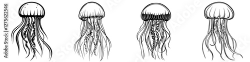 Various illustrations of jellyfish showcasing their unique forms and tentacle movements in underwater environments