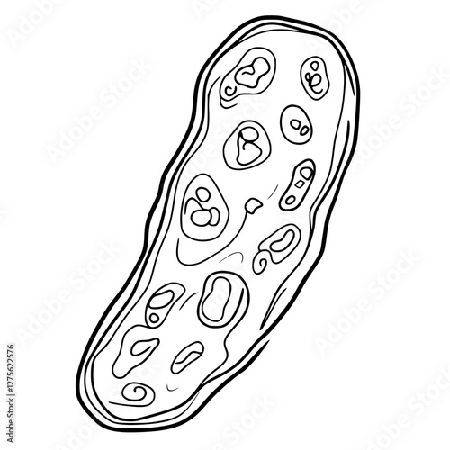Detailed illustration of a cell structure highlighting organelles and cellular components in a biological context