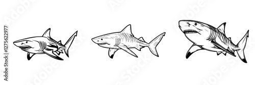 Different types of sharks illustrated in a black and white style showcasing various characteristics and shapes