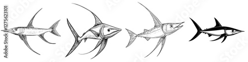 Different species of fish illustrations showing detailed anatomical features and variations in body structure