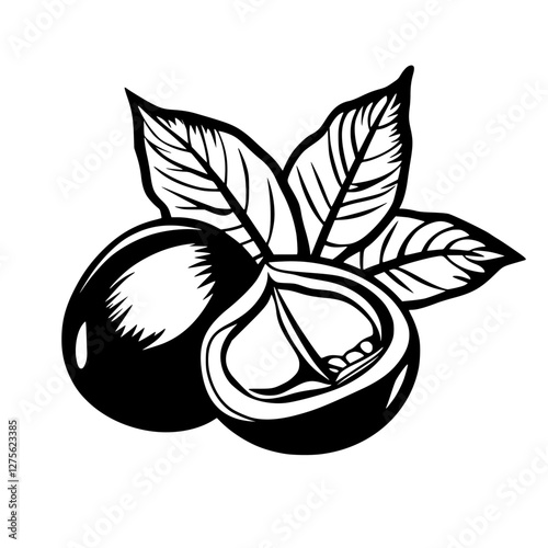 Fresh chestnuts and green leaves illustrated in a simple, artistic style showcasing nature?s bounty