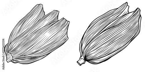 Detailed sketch of two ripe plantains with distinct textures on a white background