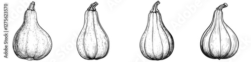 Various types of gourds displayed side by side in a linear arrangement showcasing their unique shapes and textures