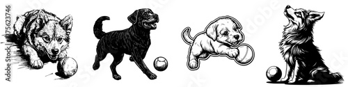Playful dogs engaging with balls in various fun poses at a sunny outdoor park setting