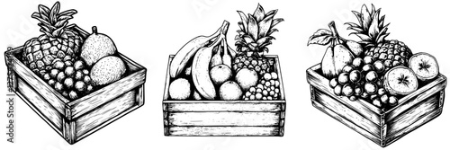 Hand-drawn illustration of wooden crates filled with various fruits including pineapples, bananas, and apples in a rustic style