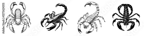 Different types of scorpions illustrated in black and white showcasing unique features and characteristics