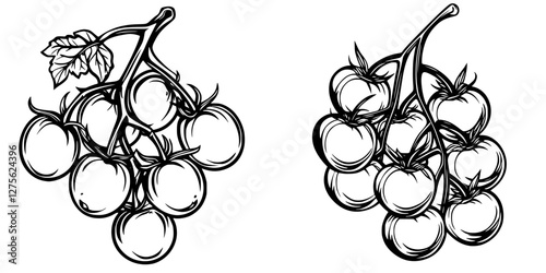 Bunch of hand-drawn tomatoes showcasing fresh produce in a simplistic design
