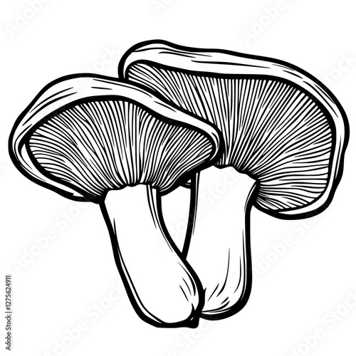 Detailed illustration of two mushrooms showcasing their unique shapes and textures