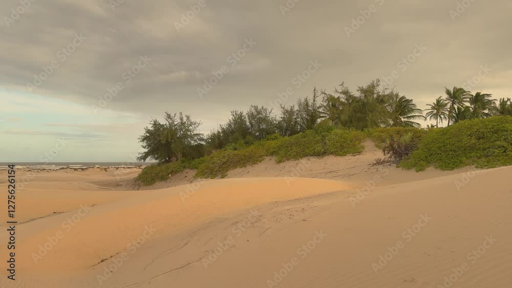Scenic view of Mambrui Sand Dunes in Mambrui Beach in Malindi Town, Kilifi County, Kenya Scenic view of Mambrui Sand Dunes in Mambrui Beach in Malindi Town, Kilifi County, Kenya