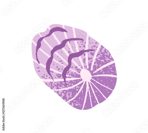 Cute ornamented cockleshell, decoration from ocean. Drawing sea shell of mollusk. Seashell of cockle, clam, shellfish, mussel conch. Beach decor. Flat isolated vector illustration on white background