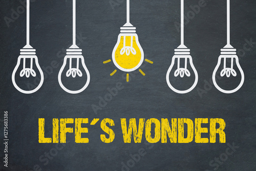 Life’s Wonders	
 photo