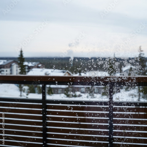 Frosty Patterns on a Winter Morning photo