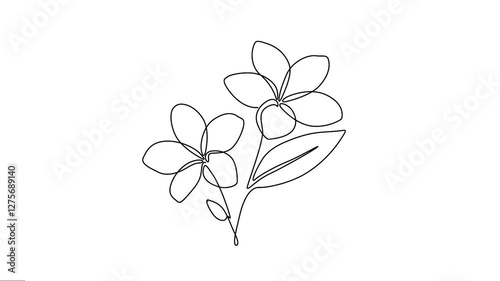 Plumeria flowers Animation elegance continuous single line drawing. 