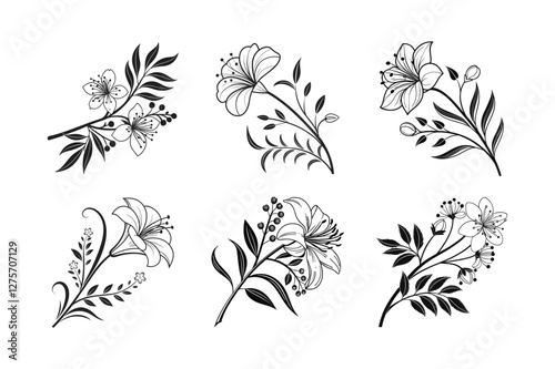 Mimosa (Mimosa pudica) silhouette vector illustration