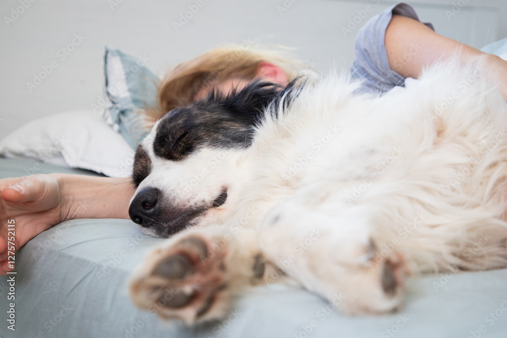 happy white dog and woman sleeping in bed happy white dog and woman sleeping in bed