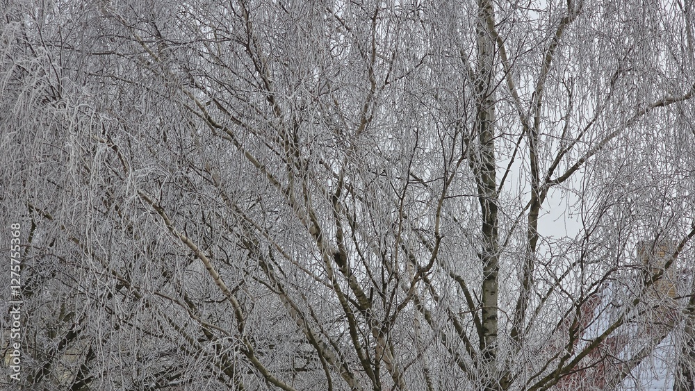 A snowy winter transforms the world into a breathtaking landscape, where everything is blanketed in a soft layer of white, creating a serene and magical atmosphere. A snowy winter transforms the world into a breathtaking landscape, where everything is blanketed in a soft layer of white, creating a serene and magical atmosphere.