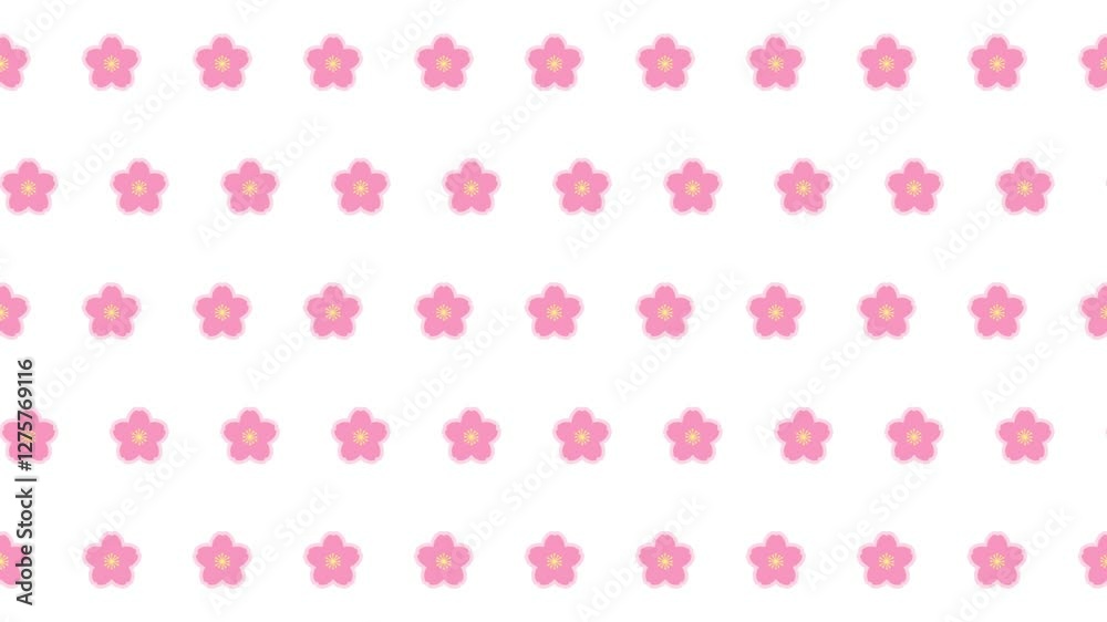 ループするシンプルな桜の背景素材,白