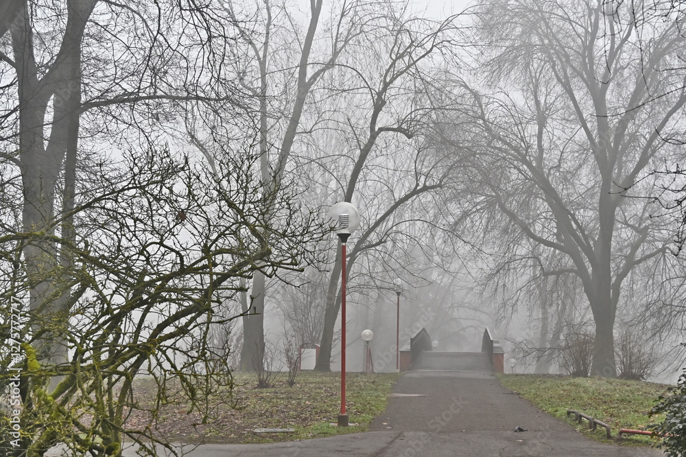 Inverno e nebbia a Basiglio. sentieri, parco e viali di Milano 3, Lombardia Inverno e nebbia a Basiglio. sentieri, parco e viali di Milano 3, Lombardia