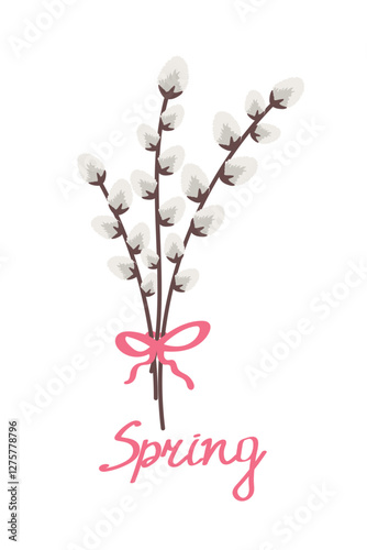 Pussy willow branches bouquet with pink ribbon. Vector pussy willow.