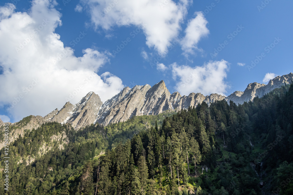 Beautiful view of pine trees & mountain peaks with bright sky. Beautiful view of pine trees & mountain peaks with bright sky.