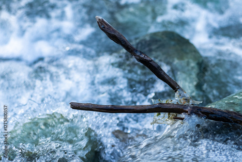 High angle shot of a dried branch in a river- Natural beauty concept.