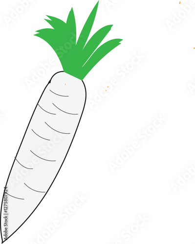 Long white radish With Vector