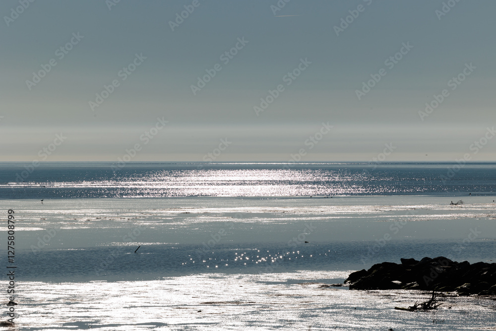 ambiente naturale costiero del Mare Adriatico con bassa marea, vicino al Golfo di Trieste, colorato di arancione dalla luce del sole al tramonto, in inverno