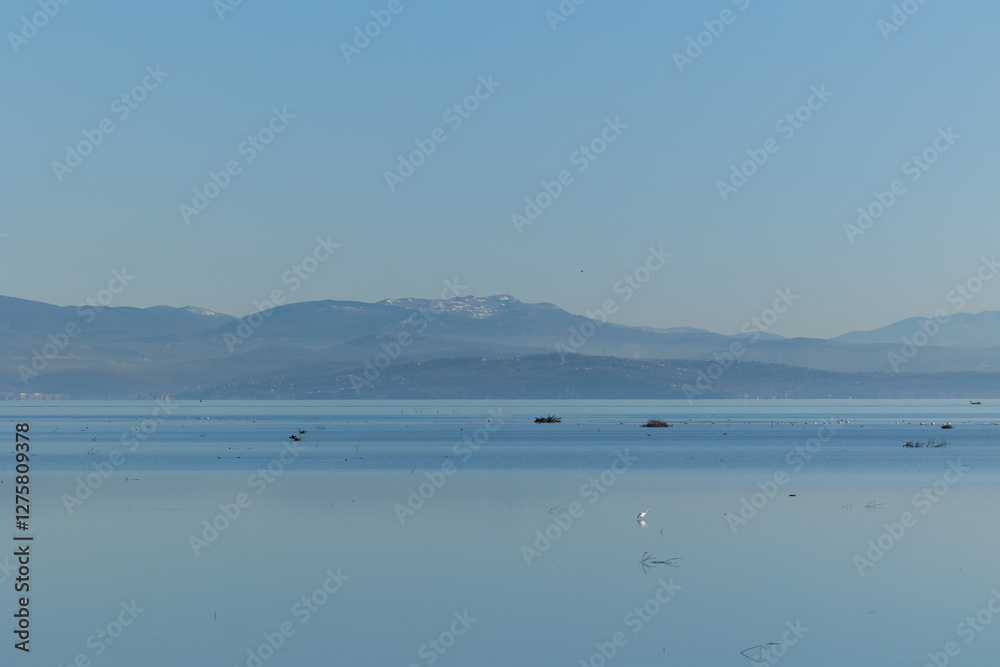 ambiente naturale costiero del Mare Adriatico con bassa marea, vicino al Golfo di Trieste, colorato di arancione dalla luce del sole al tramonto, in inverno