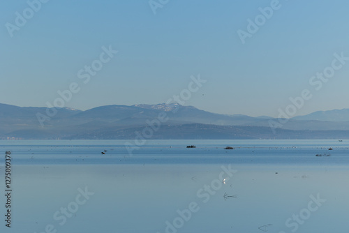 Obraz na płótnie ambiente naturale costiero del Mare Adriatico con bassa marea, vicino al Golfo di Trieste, colorato di arancione dalla luce del sole al tramonto, in inverno w salonie