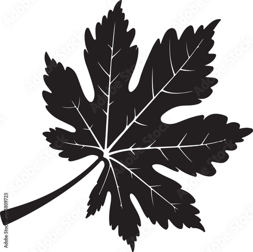 maple leaf silhouettes vector illustration