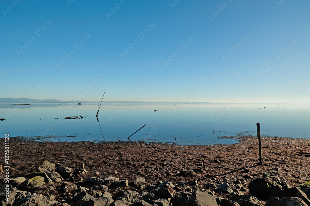 panoramica su un ambiente naturale costiero del Mare Adriatico con bassa marea, vicino al Golfo di Trieste, colorato di arancione dalla luce del sole al tramonto, in inverno