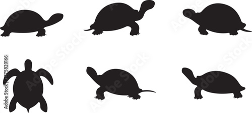 Turtle silhouettes