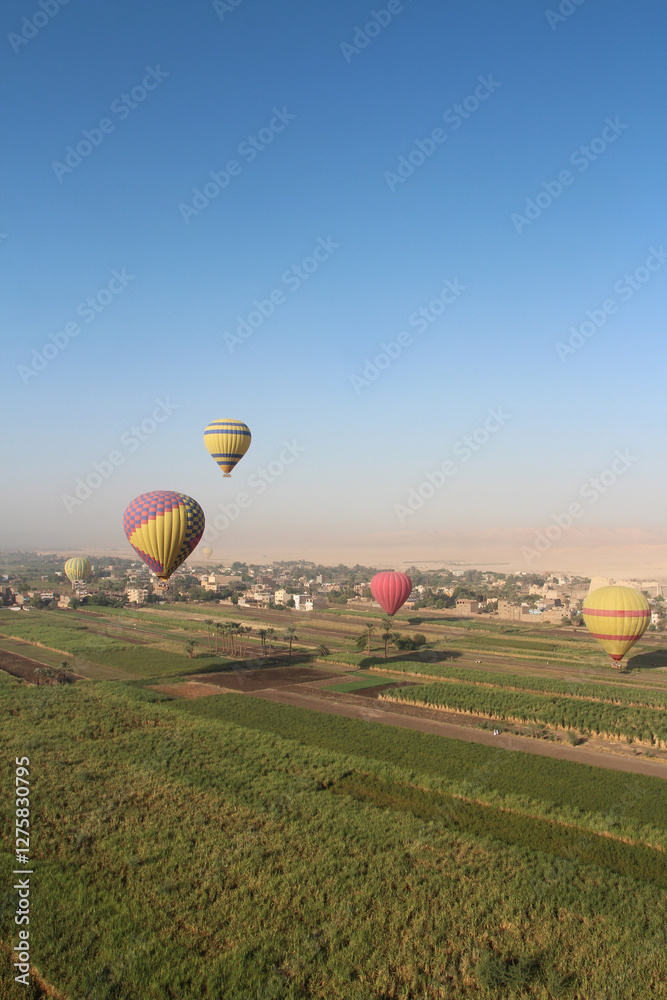 Obraz premium Crops on East bank of Luxor with the hot air balloons in the morning, Egypt