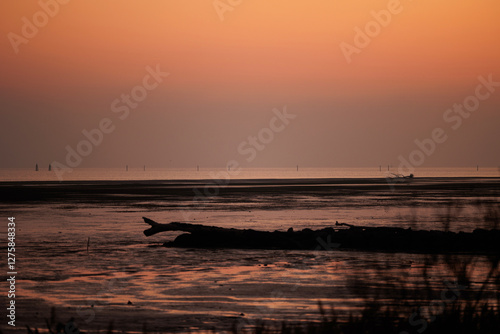 ambiente marino lungo la costa del mare Adriatico sul Golfo di Trieste, nel nord Italia, al tramonto, in inverno
