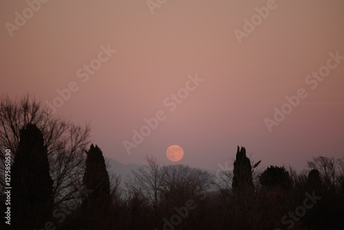 Obraz na płótnie luna piena e di color arancione che sorge in un cielo sereno, dietro alle montagne tra Slovenia ed Italia, velata da una leggera foschia, in inverno, al tramonto w salonie