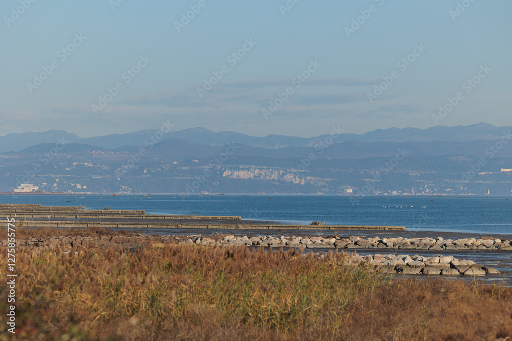 ambiente naturale costiero del Mare Adriatico con bassa marea, vicino al Golfo di Trieste, colorato di arancione dalla luce del sole al tramonto, in inverno