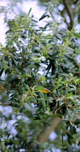 Wallpaper Mural nature  landscape Torontodigital.ca