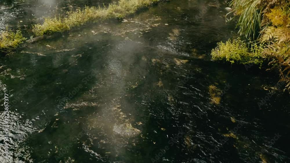 Thermal springs in autumn. Steam rises above the water, surrounded by golden and red leaves. A peaceful natural atmosphere. Thermal springs in autumn. Steam rises above the water, surrounded by golden and red leaves. A peaceful natural atmosphere.