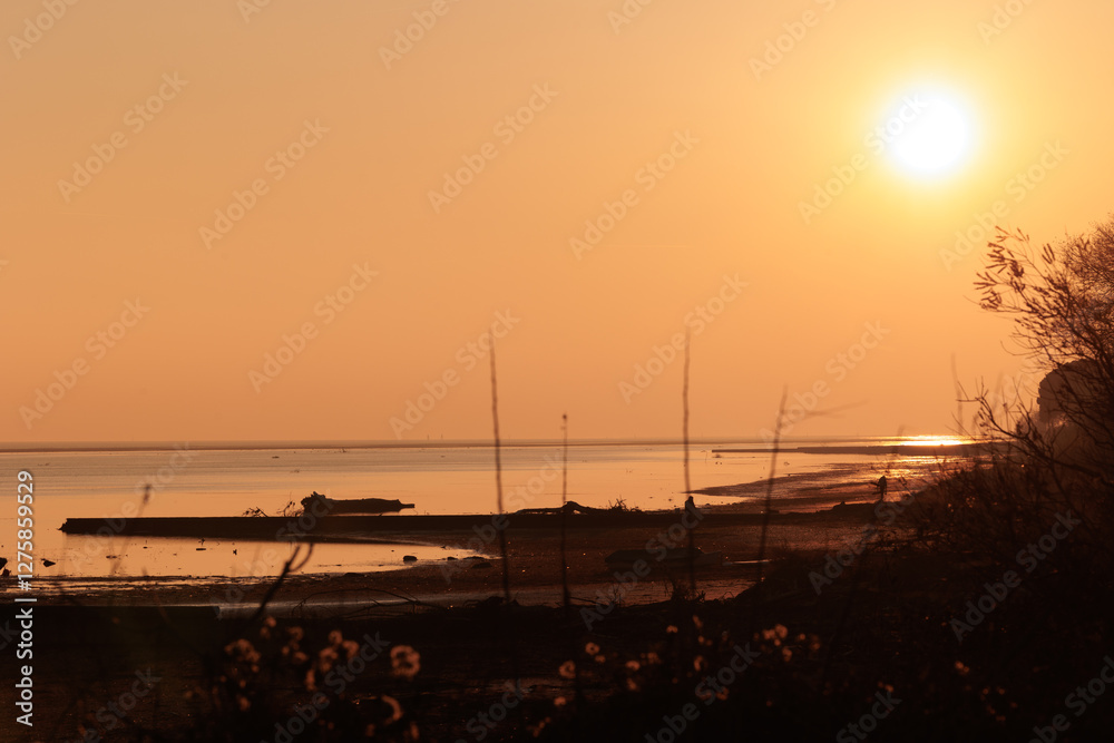 ambiente marino lungo la costa del mare Adriatico sul Golfo di Trieste, nel nord Italia, al tramonto, in inverno