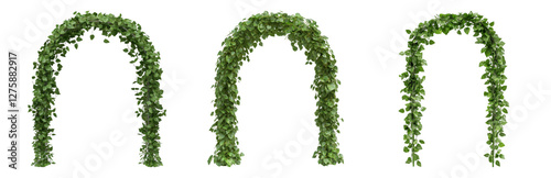 Lush Green Archways Adorned with Cascading Vines Isolated on transparent background